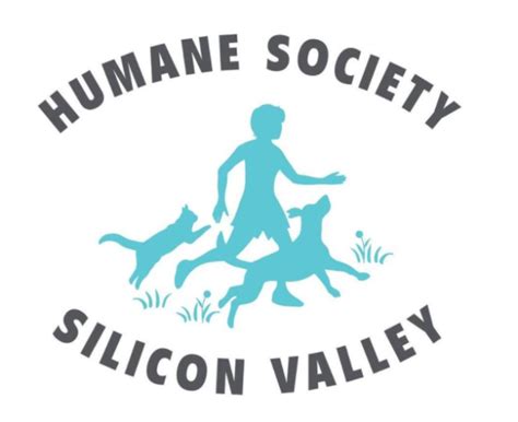 Humane society of silicon valley - MILPITAS, CA, January 31, 2024 /24-7PressRelease/-- When a litter of four small terrier mix puppies arrived at Humane Society Silicon Valley (HSSV) from Madera County Animal Services in the Central Valley (CA), there was no way of knowing that two of the four puppies were headed for national fame.While two puppies found their forever homes …